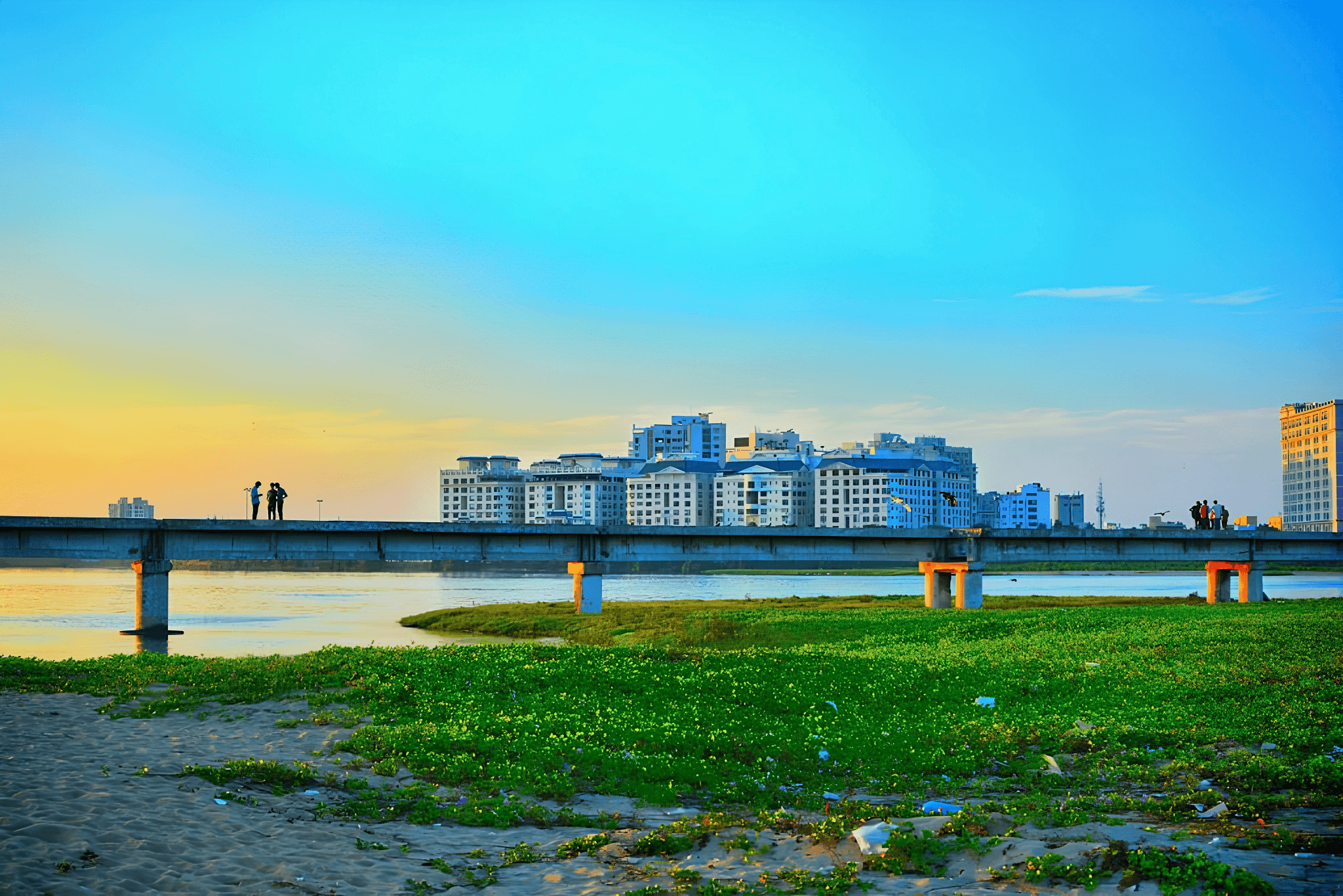 Adyar: Premium Co-Living in Chennai’s Cultural Heartland