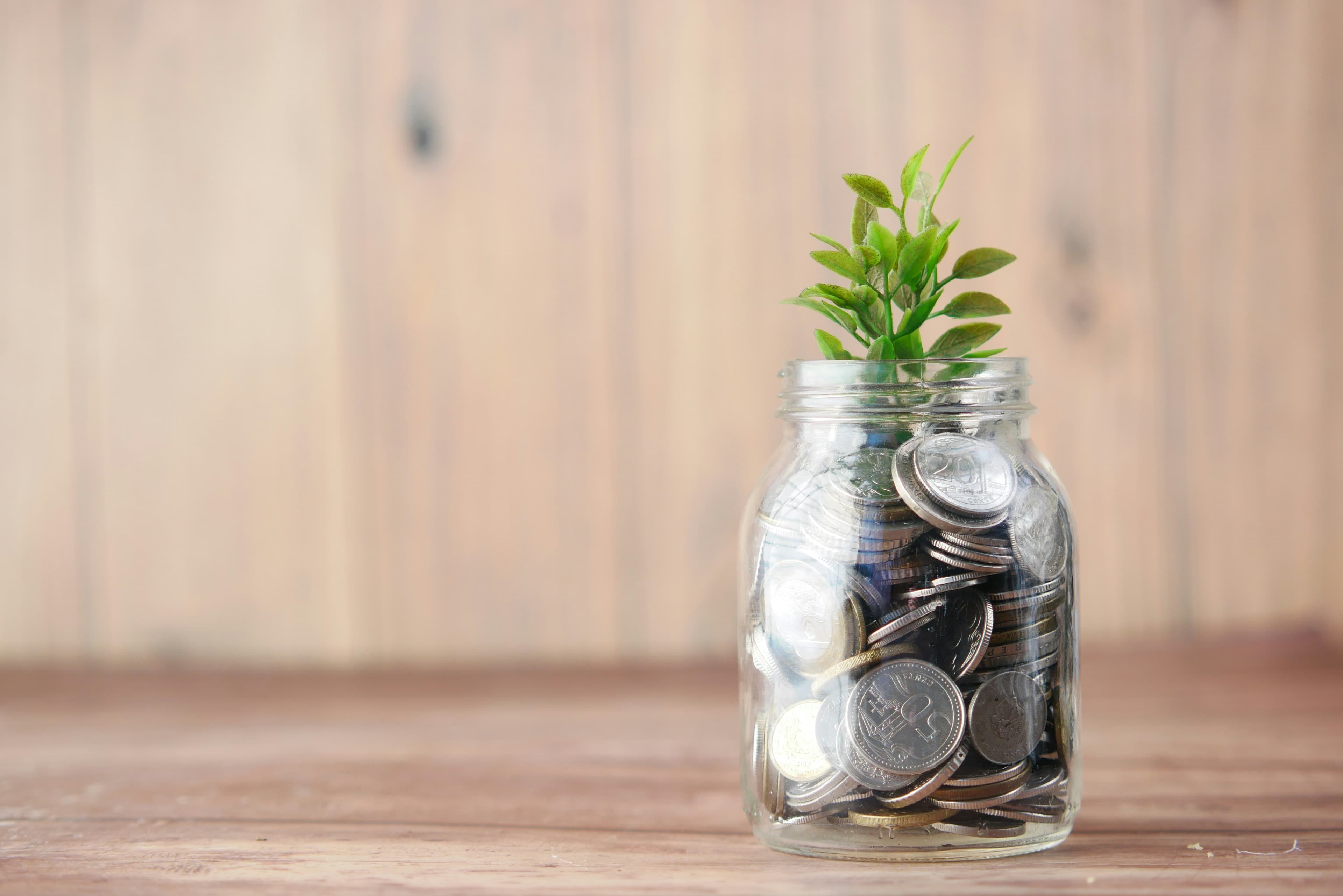 Budget Living: How to Save Money While Living in a PG