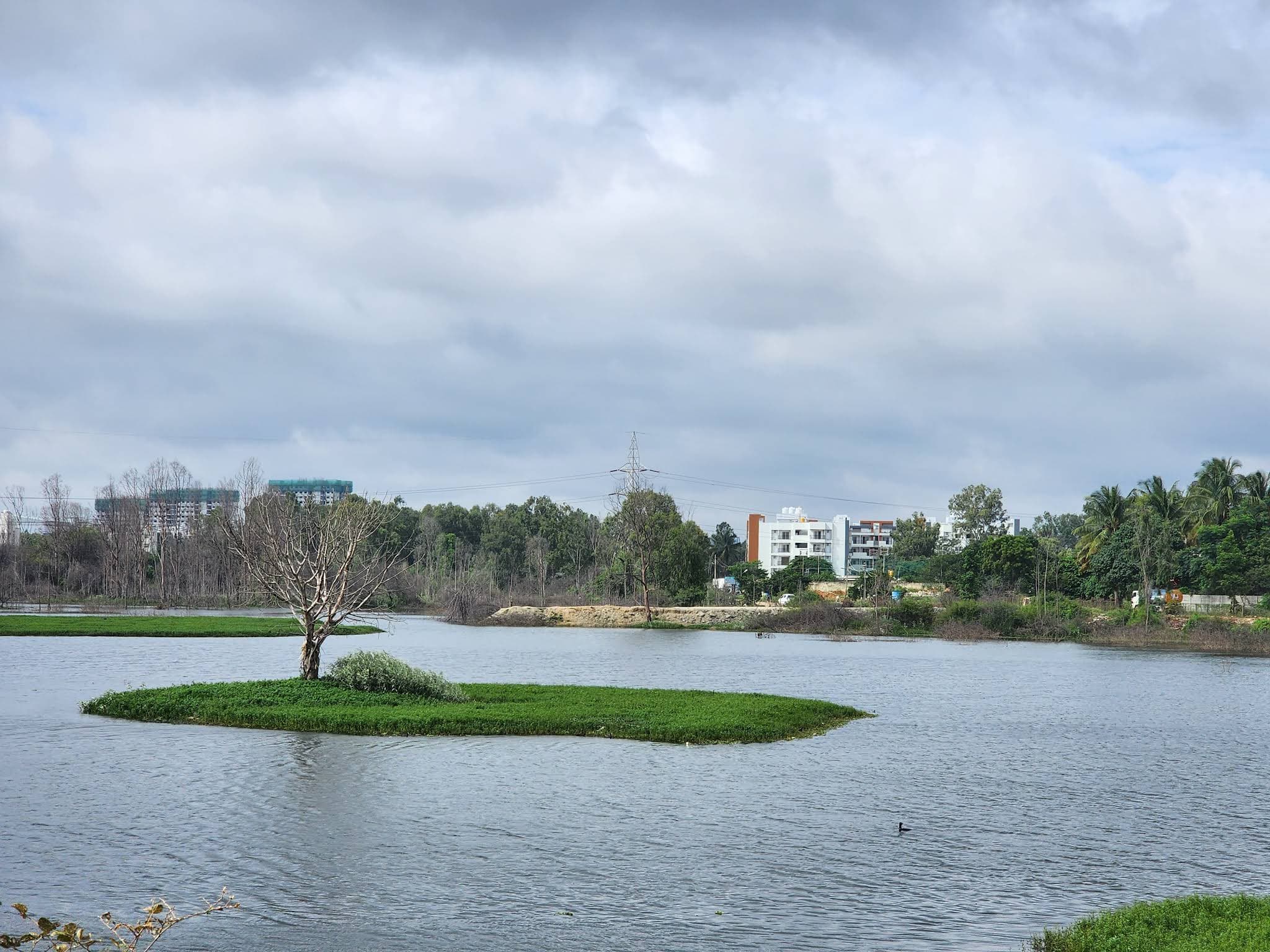Living on Sarjapur Road: Bengaluru’s Rapidly Expanding IT Corridor